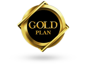 gold ecommerce website design solutions