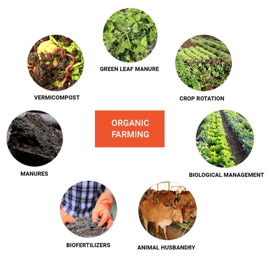 Organic Farming Website Design @ Rs. 5900 - Organic Farm Website Development Company Near Me