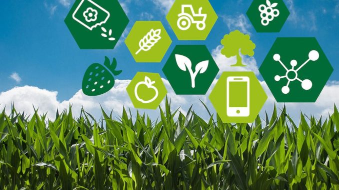 smart-agriculture-farm-website-design